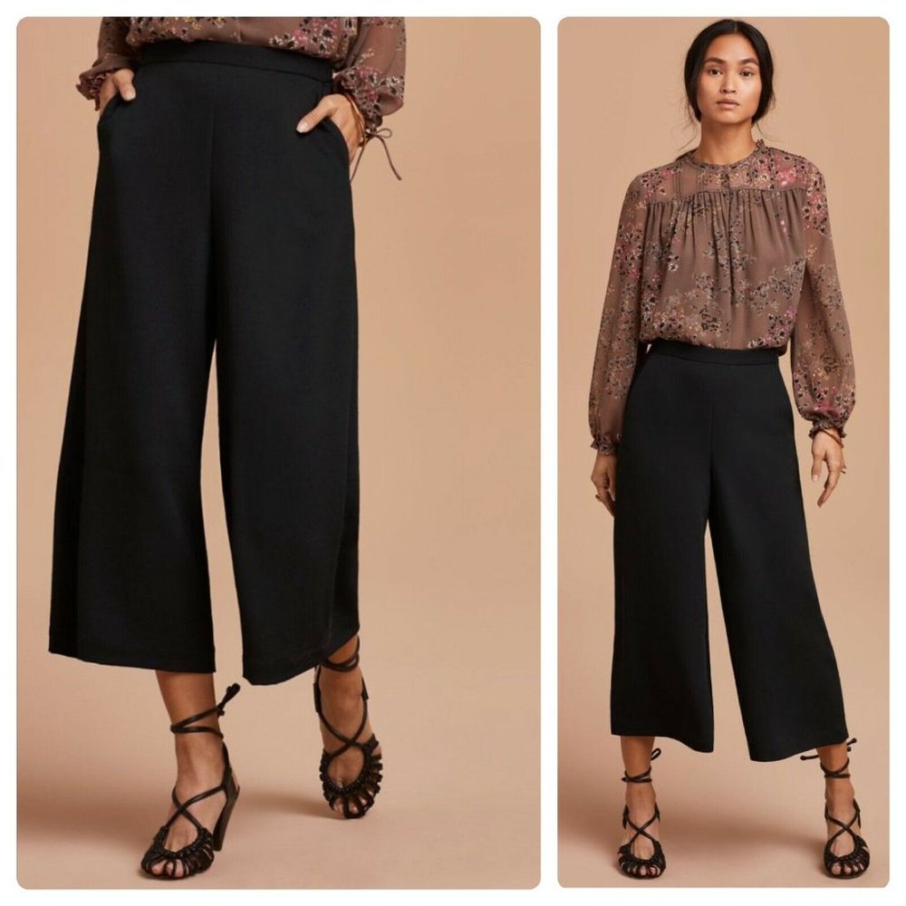 Aritzia Wilfred Wide Leg crop Culotte Lalemant